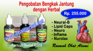Bengkak Jantung Bengkak Jantung Bengkak Jantung
